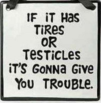 If it has tires or testicles If it has tires or testicles