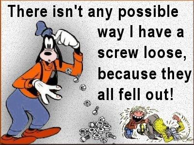 Screw Loose Screw Loose
