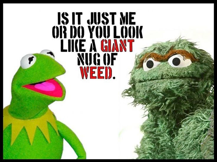 Kermit and Oscar