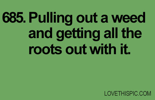 685-weeds