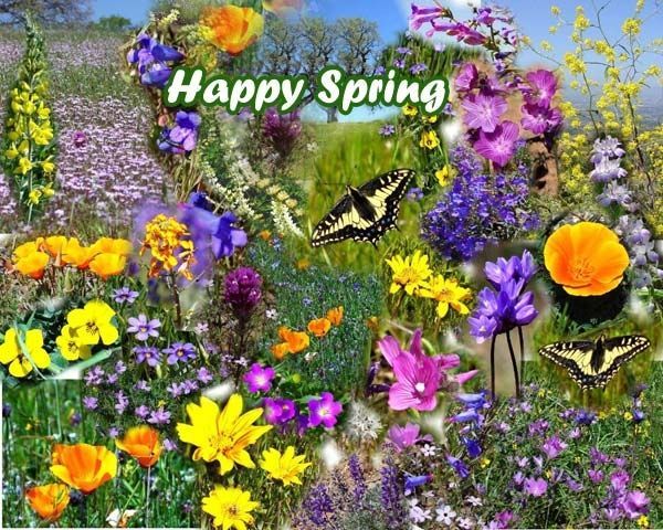 Happy Spring Happy Spring