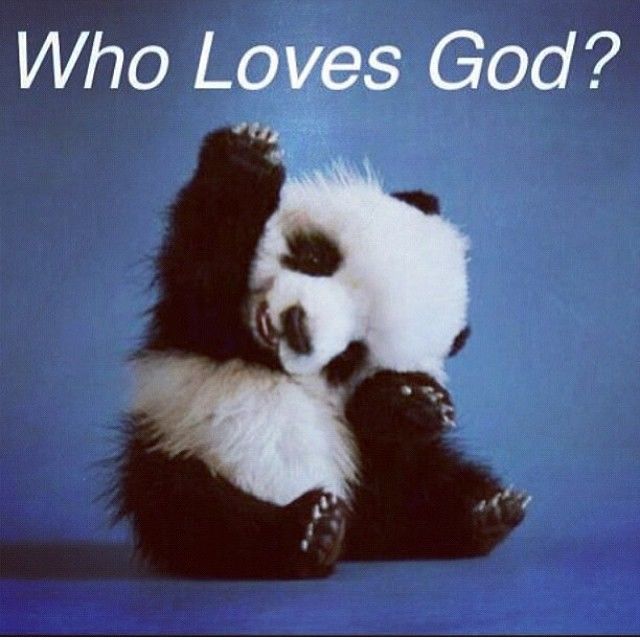 Who loves God