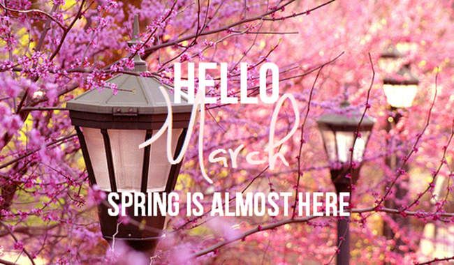 Hello March, Spring is almost here Hello March, Spring is almost here