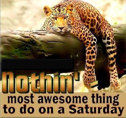 most awesome thing to do on Saturday