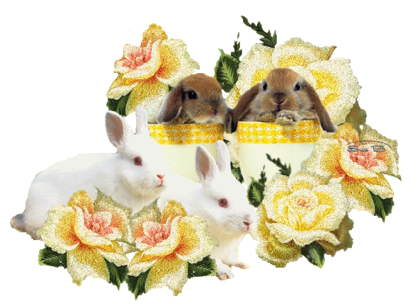 Bunnies for Easter