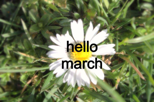 Hello March