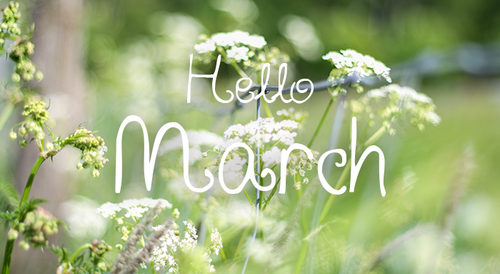 Hello March