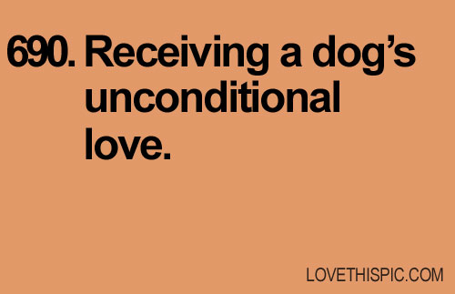 690-dogs-love