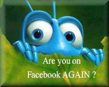 are you on Facebook again are you on Facebook again