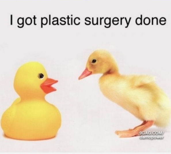 Plastic Surgey Plastic Surgey