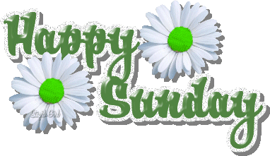 Happy Sunday