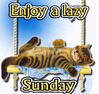 Enjoy a lazy sunday
