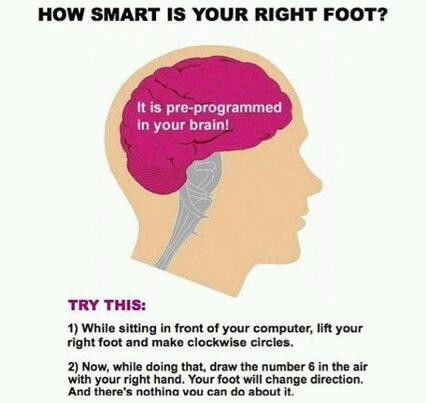 Try This Try This