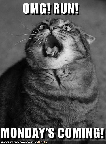 OMG Run, mondays coming