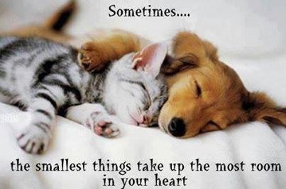 sometimes the smallest things