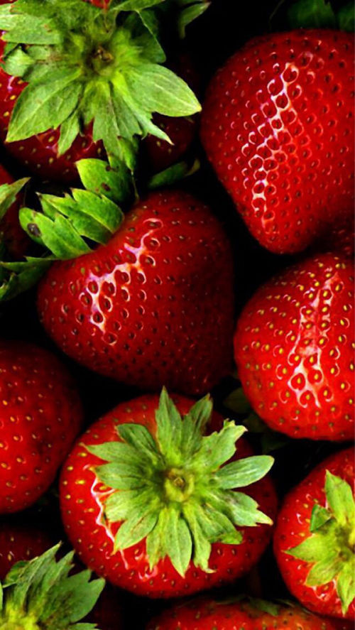 Strawberries Strawberries