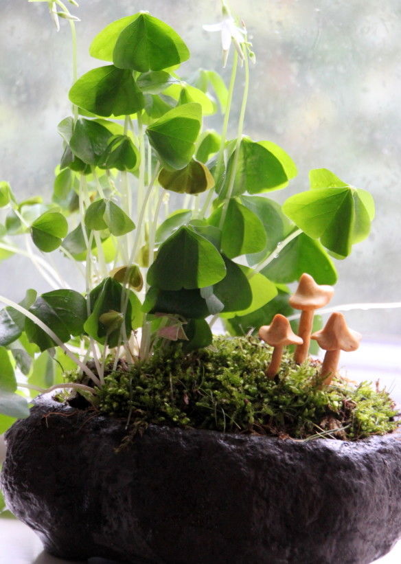 Leprechaun garden