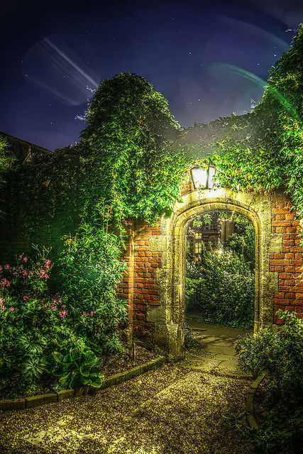Light in the garden Light in the garden