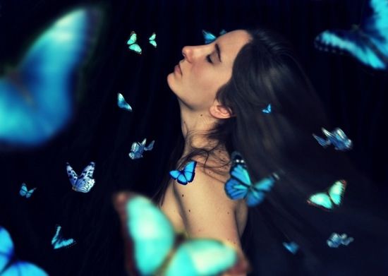 Among butterflies