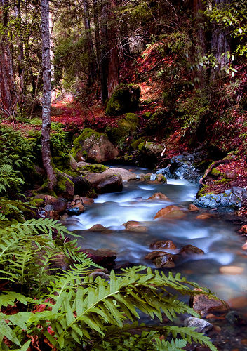 Misty streams
