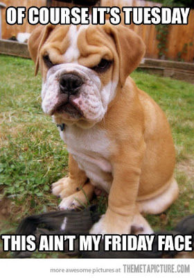 Of course its tuesday, this aint my friday face Of course its tuesday, this aint my friday face