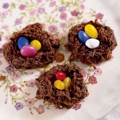 Hummingbird nests