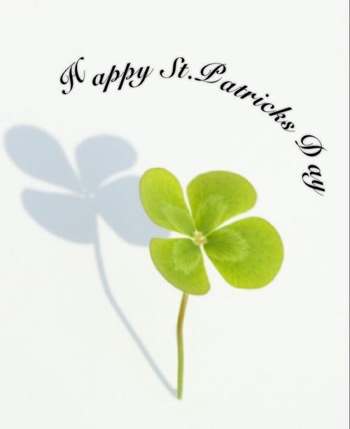 Happy St Patricks Day Happy St Patricks Day