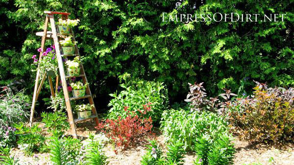 Ladder container garden