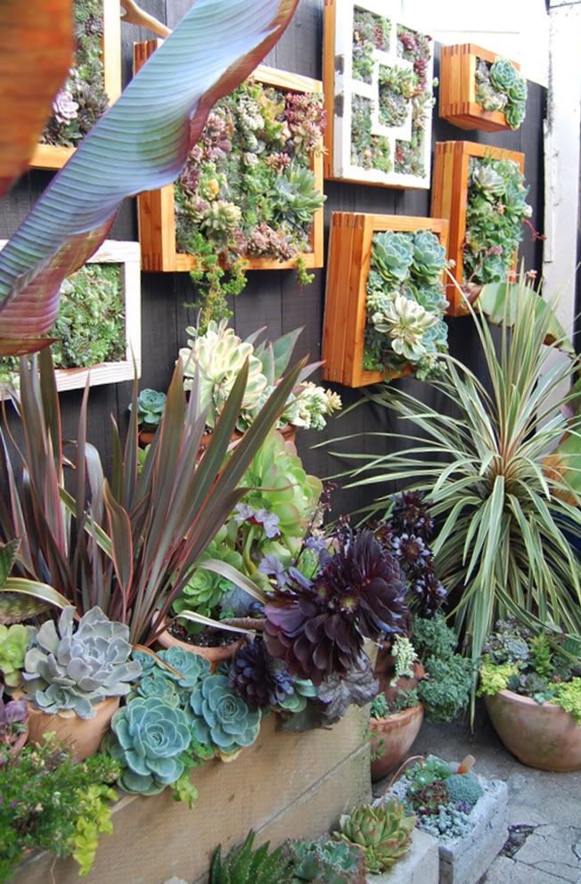 DIY Vertical Garden