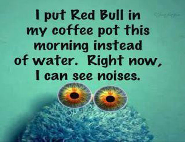 I Put Red Bull In My Coffee I Put Red Bull In My Coffee