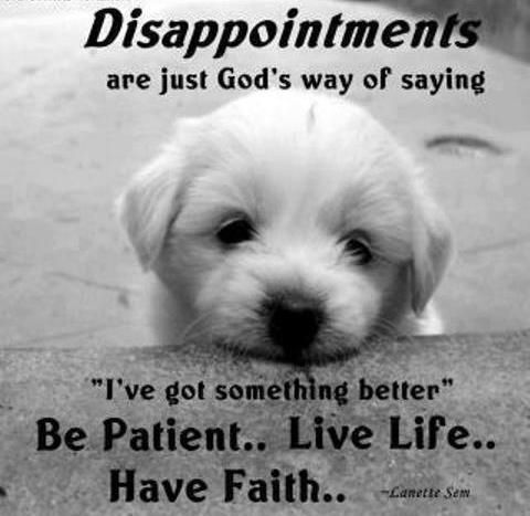 Disappointment Disappointment