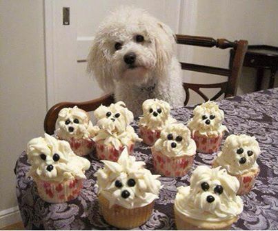 Puppy Cupcakes Puppy Cupcakes
