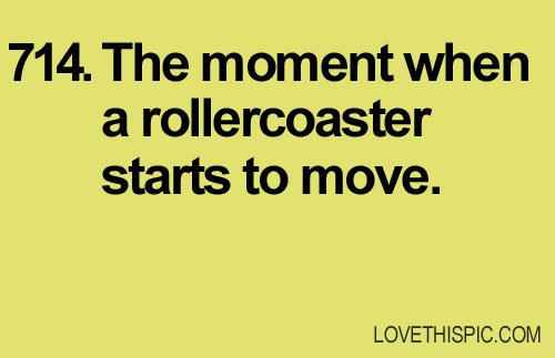714-rollercoaster
