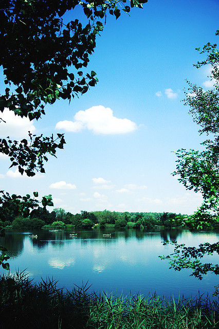 A calm place