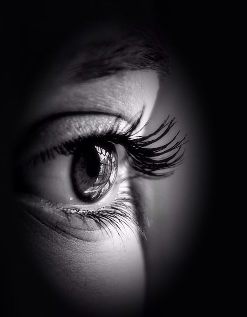 What we see What we see