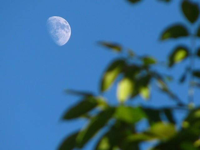 Half moon in daylight