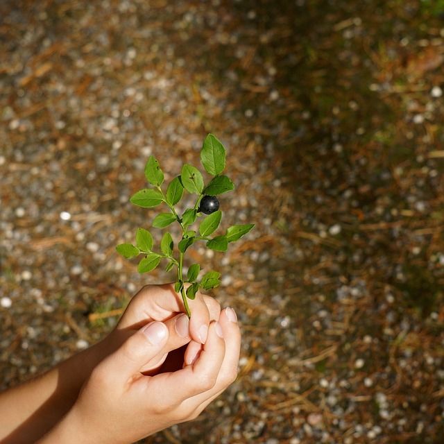 New life New life