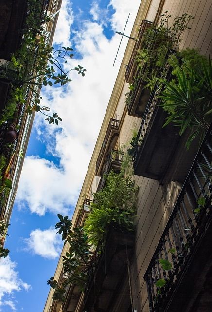 Just look up Just look up
