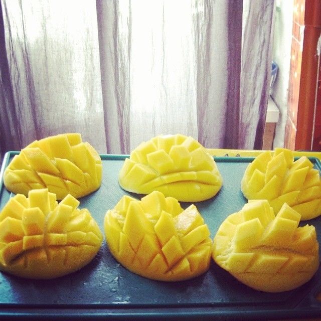 Mango hedgehogs Mango hedgehogs