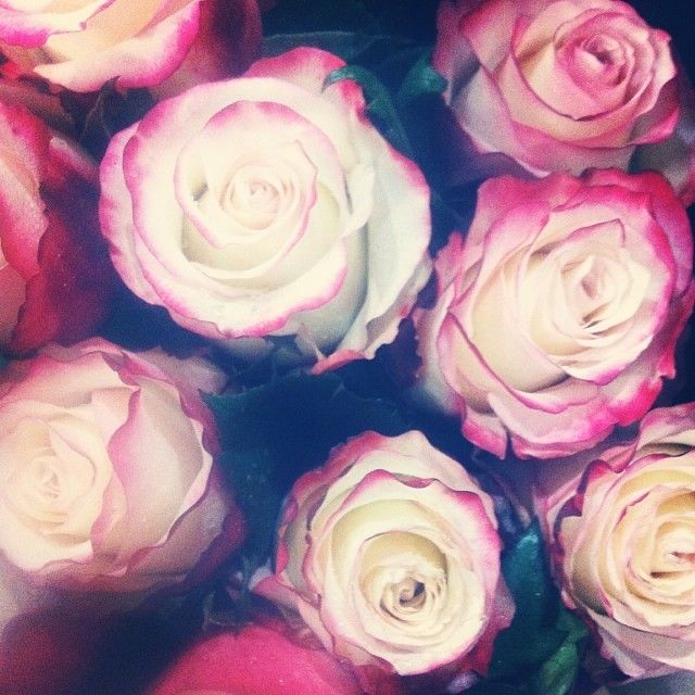 Adorable roses