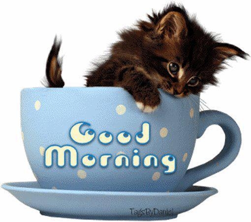 Good Morning Good Morning
