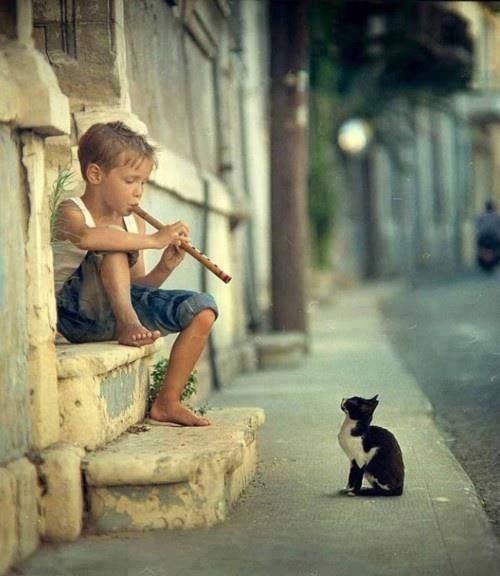 Boy Playing Flute To Cat
