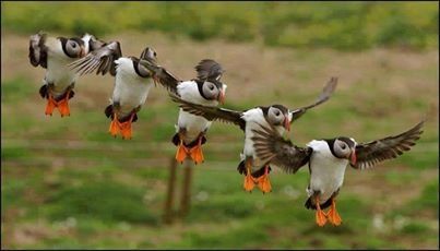Awesome Synchronized Landing!! Awesome Synchronized Landing!!