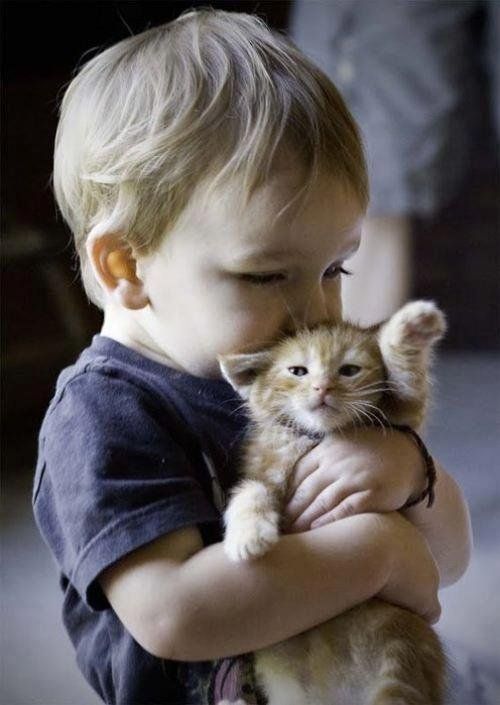 Boy Kissing Kitten Boy Kissing Kitten