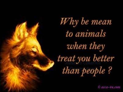 why be mean to animals why be mean to animals