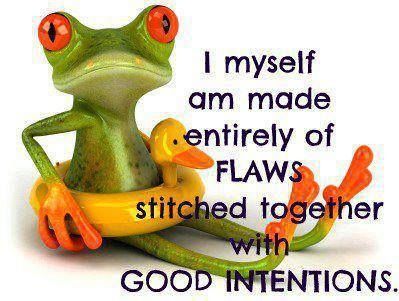 flaws and good intentions flaws and good intentions