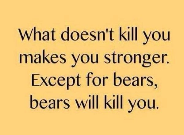 what doesnt kill you what doesnt kill you