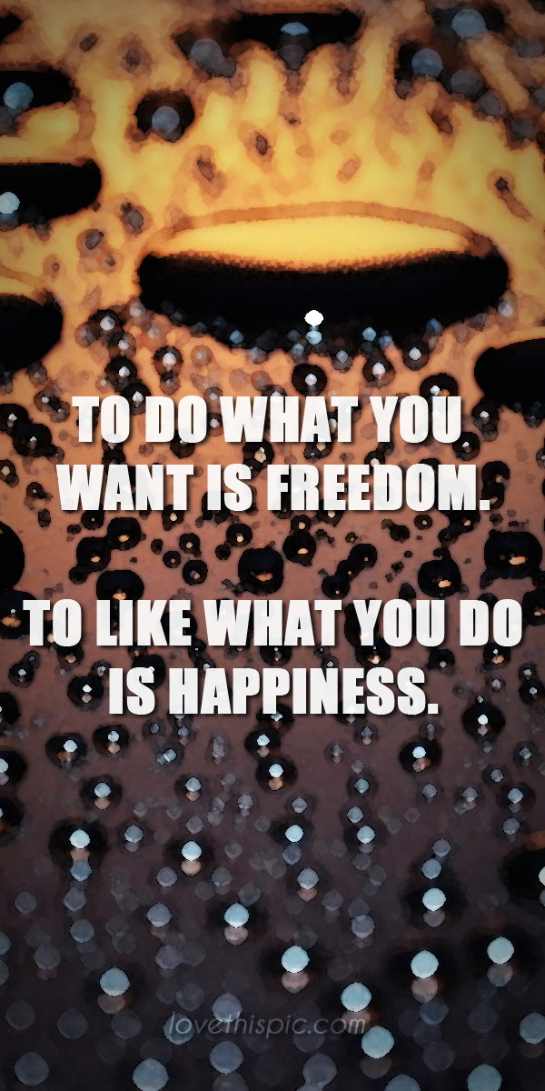 to do, to like to do, to like