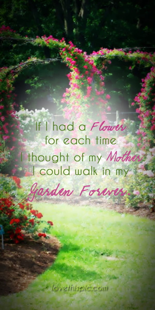 If I had a flower