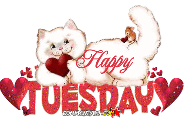 Happy Tuesday